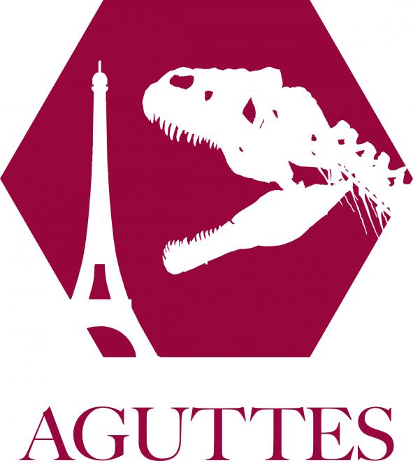 Logo Aguttes 