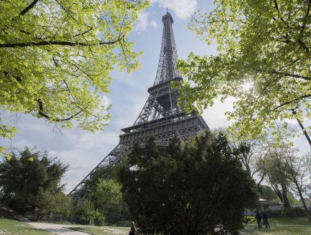 image tour Eiffel et jardins 