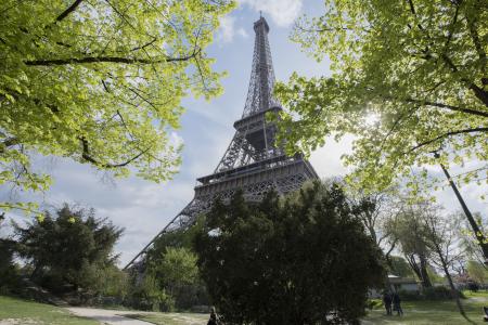 image tour Eiffel et jardins 